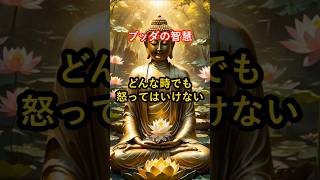 どんな時でも怒ってはいけない #仏教 #ブッダ #自己啓発