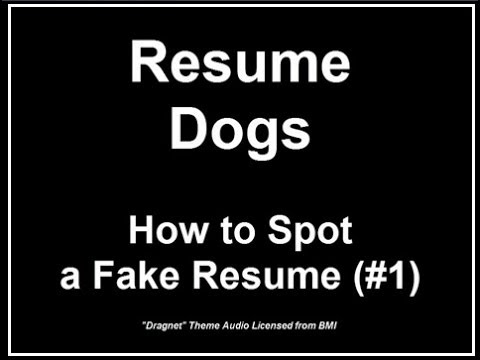 Resume Dogs - How to Spot a Fake Resume