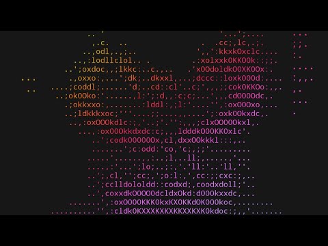 Colorful text android - [ HACKING ] #android #hacker #hack #terminal #hackfreefire #hackingcourse