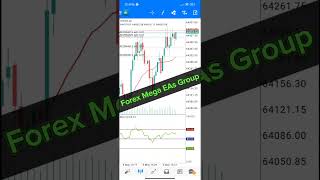 Best Forex EA Trading In BTC 2024 - Forex Mega EA Group #004