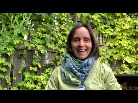 Juliet Robertson Previews Messy Maths Masterclass