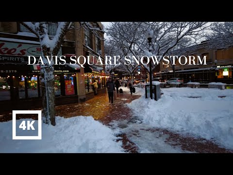 4K | Walking Evening to Night Snowstorm | Davis Square Boston | City Urban Sounds ASMR