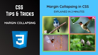 CSS Margin Collapsing: A Concise 2-Minute Explanation | CSS Tips & Tricks