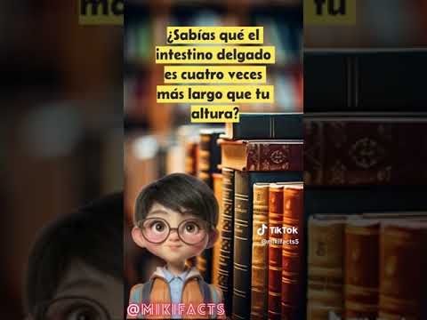 #IntestinoDelgado#SistemaDigestivo#AnatomíaHumana#Digestión