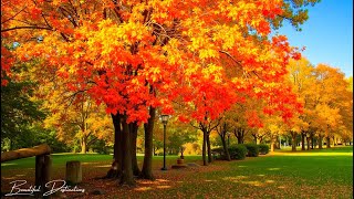 ดนตรีผ่อนคลายที่ยอดเยี่ยม 🍁 ทำนองฤดูใบไม้ร่วงช่วยบรรเทาความเครียดและรักษา