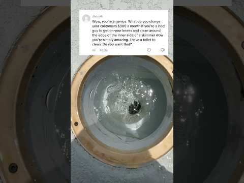 He offered me to clean his toilet 🚽… I clean pools, not 💩 lives #poolcleaning #fyp #satisfying