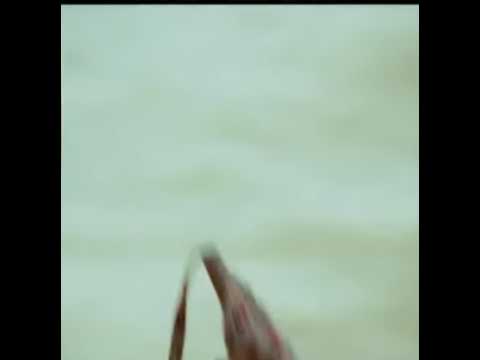 tinakxxp0 Live Stream