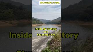 Behind the Scenes: Inside My Factory & Breathtaking Views