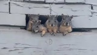 FAMILY MOMENTS That Are TOO FUNNY