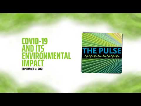 COVID-19 And Its Environmental Impact -  Part 1