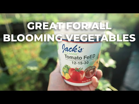 A quick review of Jack's Veggie Feed (formerly Tomato Feed) | Great for all blooming vegetables