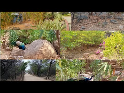 KBR National Park, Hyderabad