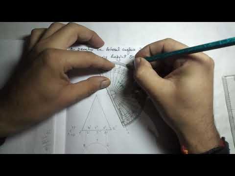 (11.13) Development of Cone