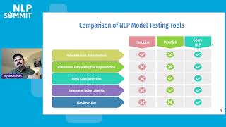 Automated Bias, Robustness, and Data Quality Testing for NLP Model"