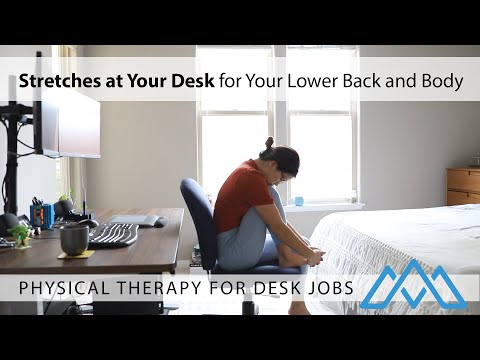 Stretches at Your Desk for Your Lower Back and Body