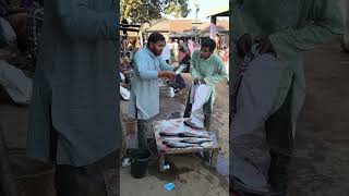 Smart move took fish 🙆🐟 #funny