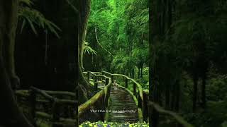 Watch this again when you forget how to breathe.#soundtherapy #visualcalm #healingvibes