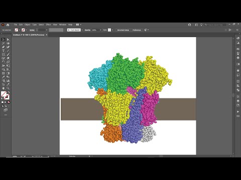 Importing a Protein Model from Pymol to Adobe Illustrator (2)