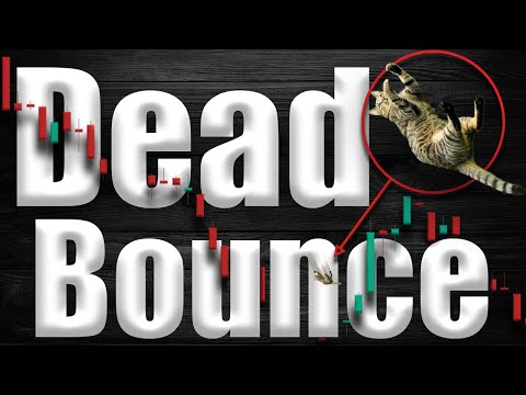 The Infamous DEAD CAT BOUNCE Stock Trading Pattern