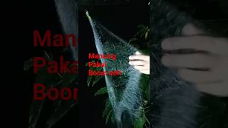 jaring pancing #shortvideo #shorts #mancingjaring