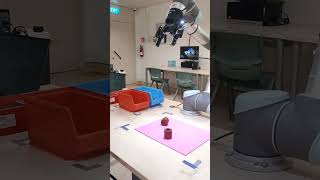 Sorting the shapes and colors Test (Cobots)