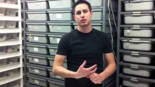 Pro Tips: Ball Python Breeding - Pt 1