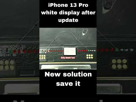 The secret to fixing iPhone 13 Pro White screen