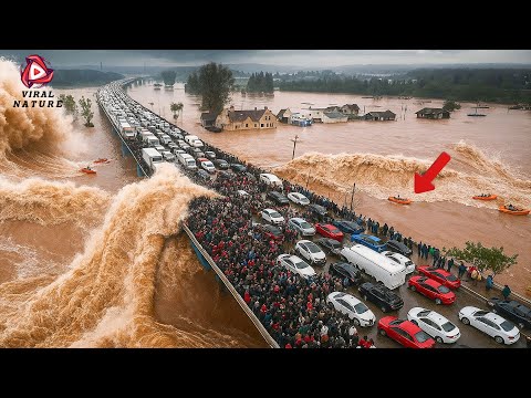 One in a Billion Moments in Nature - Best of 2025 #1