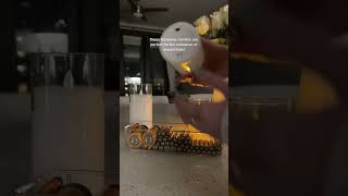 my new favorite home decor piece 🥰 #amazonfinds  #homedecor  #flamelesscandles #candles