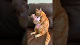 Cat and a dog team up to take care of a baby! 🐾👶