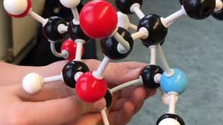 Building Molecular Structures