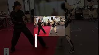 Watch Tesla’s Optimus Humanoid Robot Learn Real Time KungFu