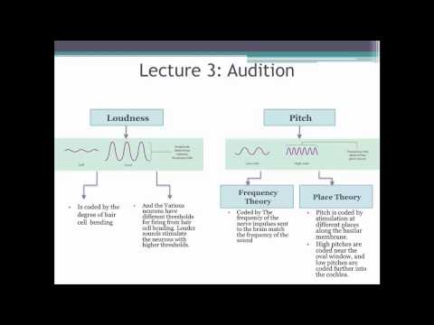 Exam2 Revised Review