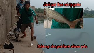 waktu yg tepat untuk mancing jaring disungai @omiwanvlog