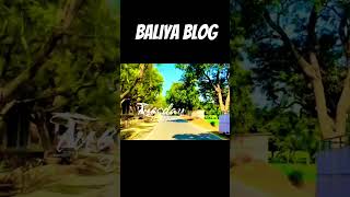 #villagevlog #beautiful #villageroad #biharvillagelife #begusaraibihar #myvillagevideo #viral
