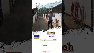 Secrets of Armenian Linguistic Heritage #languagelearninghacks #languagelearning #vocabularywords