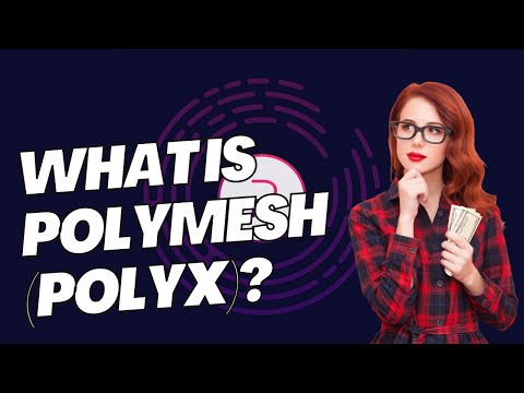 What Is Polymesh (POLYX)?