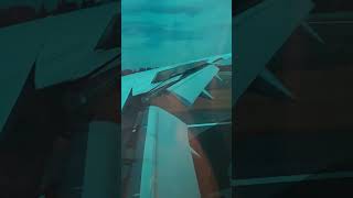 Air Japan Boeing 787-8 Landing in Tokyo Narita Japan 🇯🇵🗼⛩️