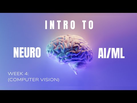 Week 4 from the Intro Neuro/AI Course Fall 2024