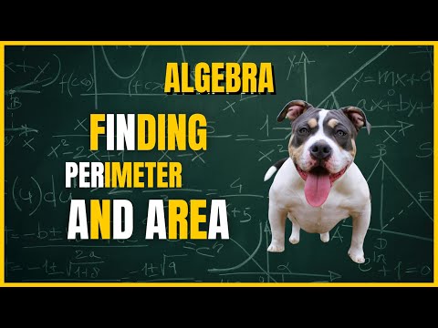 Algebra - Finding Perimeter & Area #math #mathematics #geometry #perimeter #area
