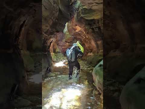 Dalpura Canyon - Blue Mountains