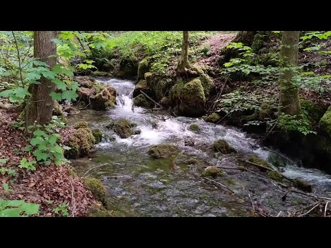 WATERFALL relaxing and meditation sounds calm- birdsong - Falling Sound Effect.