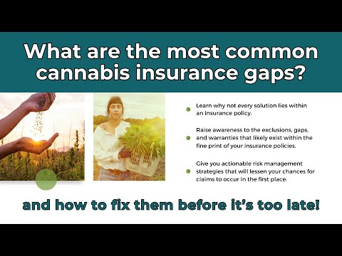 Hidden Cannabis Insurance Risks: What Your Policy Isn’t Telling You