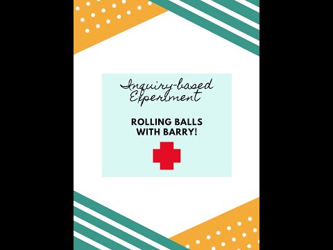 Helping Barry the St. Bernard