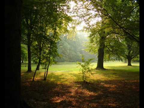 MAHLER - Adagietto, from Symphony No. 5 in C-Sharp Minor, 4th Movement