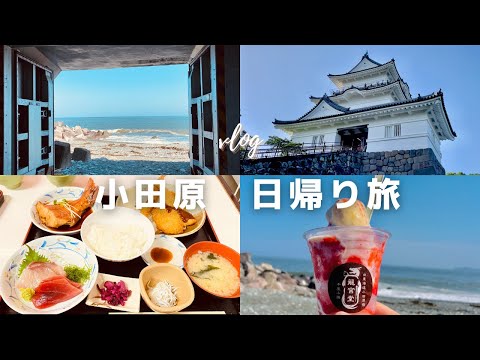 '(SUB)Japan Vlog｜One Day Trip From Tokyo｜ Odawara｜Shinkansen, Seafood and sightseeing