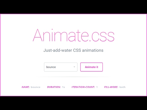 Animate.css | CSS Animation basics and how to use Animate.css
