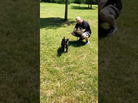 Good Friday, Quarantine Adventure