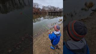 Fun fall catch! #shorts #fishing #fishingfun #troutfishing