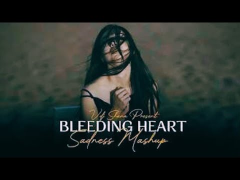 Bleeding Heart Mashup 2024  Vdj Shana Mashup    Sadness Chillout